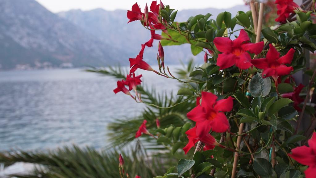 Penthouse Stoliv New Spa-Pool Villa Is Located 5M From The Sea, Exclusive Terrace,Private Jetty Wih Sunbeds, Pebble Beach, Secluded Location Total Area 375M2 At Your Disposal Kotor Exteriör bild
